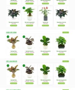 Theme wordpress chậu cây mini