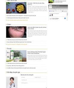 Theme wordpress dược phẩm 4