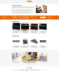 Theme wordpress dạy học đàn