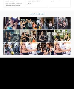 Theme wordpress phòng tập gym