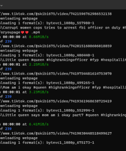 Alternative view of Công cụ download tất cả video trên 1 kênh Tiktok bất kỳ